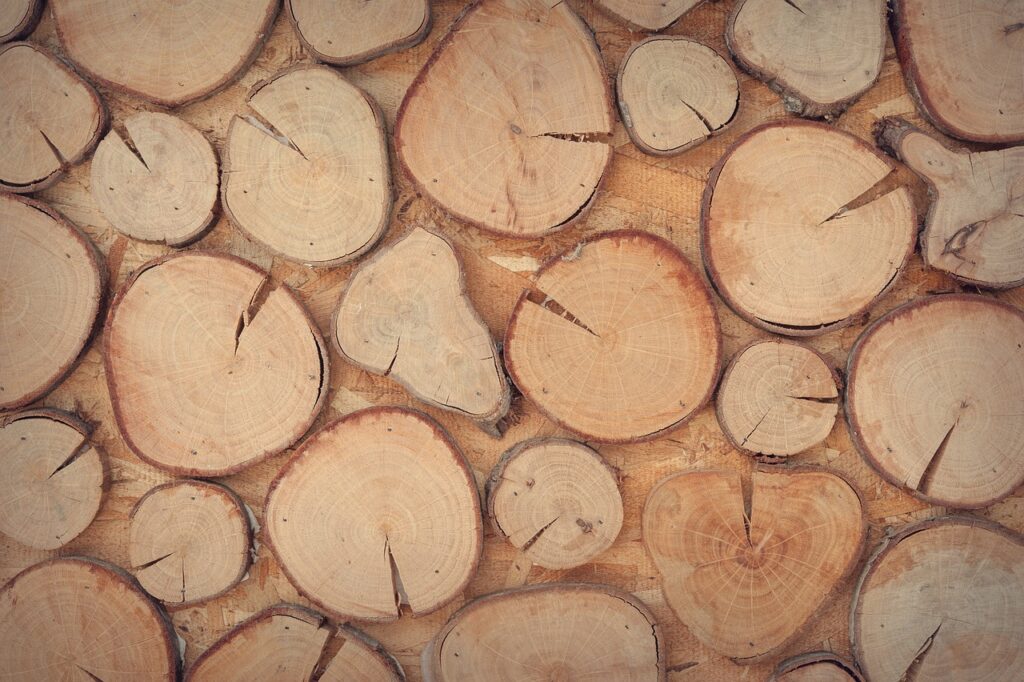 Revestimiento de madera natural con rodelas de tronco